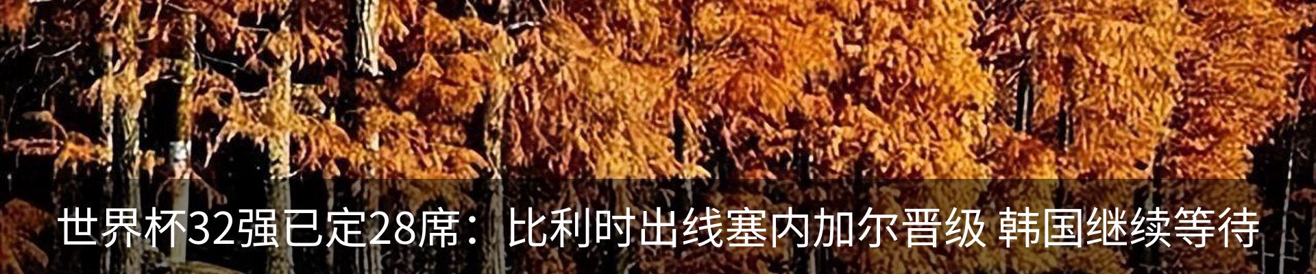 内页banner